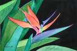 by Nancy Woolweber
