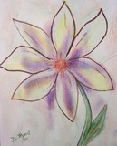 by Donna Ryant