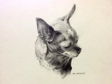 by Jodi McFarland