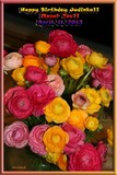 by Nira Dabush