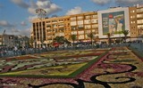 by Nira Dabush