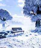 by Norbert G.