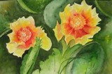 by Bev                  Chudey