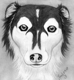 by Leah Jaarveth