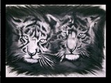 by ryan campbell