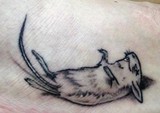 by ryan campbell