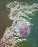 by Nancy Price