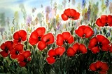 by Nelly van Nieuwenhuijzen