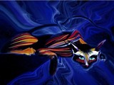 by Lilly Antoneavic