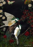 by Aileen McLeod