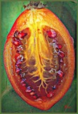 by Ingrid Kolster