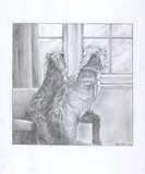 by Mark Adams