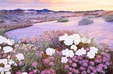 by Doni Kendig