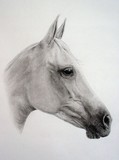 by Lisa England