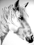 by Tami Dykes