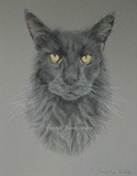 by Joanne Simpson-Connor