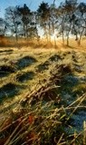 by VELYKIO - gintautas velykis -