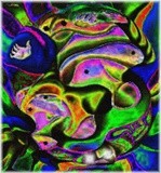 by Barry Huyett