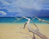 by tania tanev