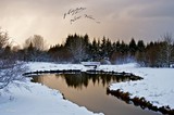 by Sigridur Bachmann