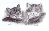 by Anne Birthistle