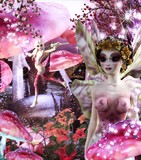 by Angela Tossell