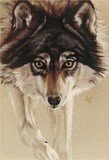by Barbara Keith