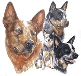 by Barbara Keith