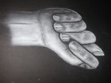 by Meg N