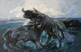 by Caballero Salguero