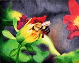 by Abby Guetz