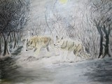 by manda bunjevac