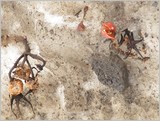 by Heli Aarniranta
