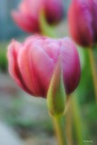 by Bill M