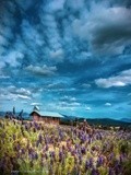 by Ropati Leaso-Cobb