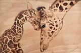 by jill madgwick