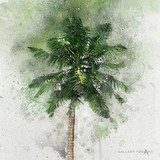 by artur wasielewski