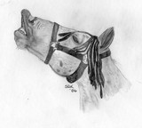 by Susie Kleiner