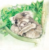 by Tong YM