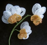 by Sharon Simmons