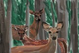 by Carole Boyd