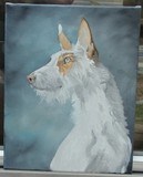 by Susan Trueper