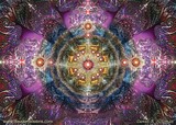 by Daniel B. Holeman