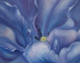 by Elsa Gallegos