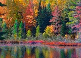 by Deborah Rosier