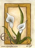 by Erin Ewer