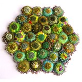 by Rachel Biel