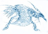by Lori Hollifield