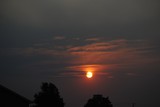 by Debra Kott