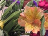 by Debra Kott